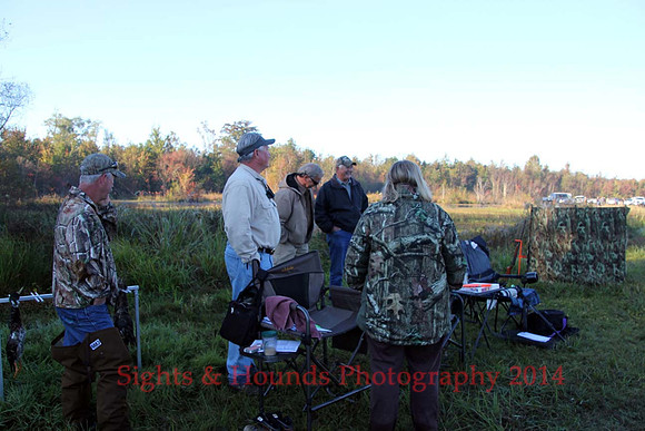 Judges