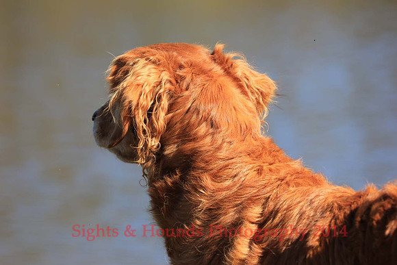 Dixie Boothman