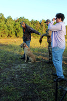 Junior Test Dog