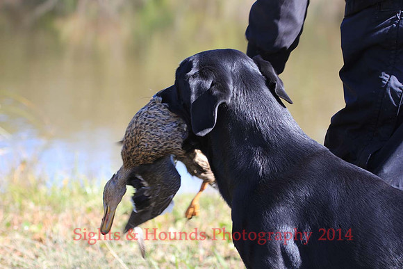 Boomer Huffman