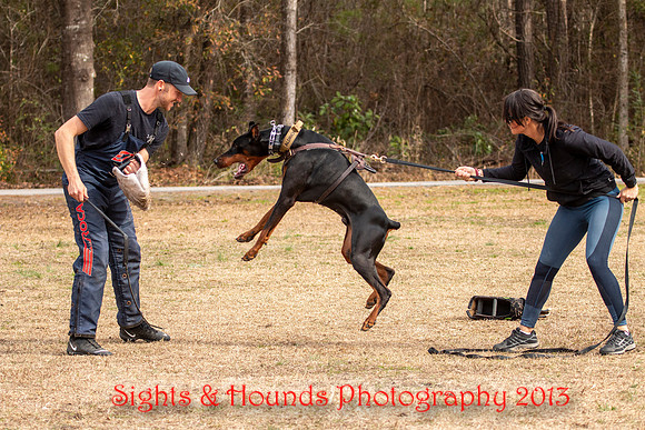 SCHUTZHUND