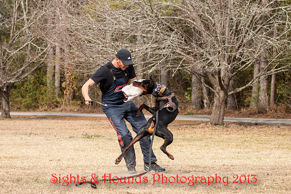 SCHUTZHUND