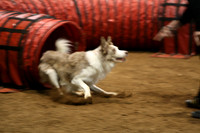 Best of the Blurs (Friday)