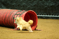 Static Pup!