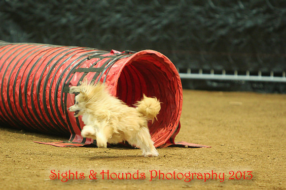 Static Pup!