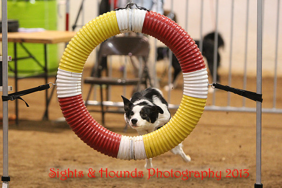 Shootin' the hoop!