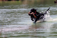 Test Dog