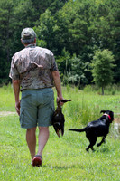 Test Dog