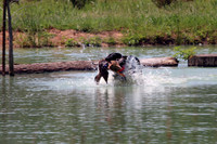 Test Dog