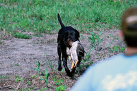 Test Dog