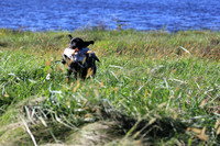 MOLLY - #9 MISS MOLLY'S RARING TO GO