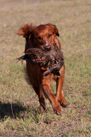 ELLIE MAE DeWALD