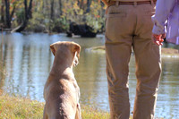 Test Dog with a back up...