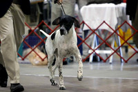 Pointer
