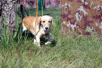 Sunday Seniors Land Images