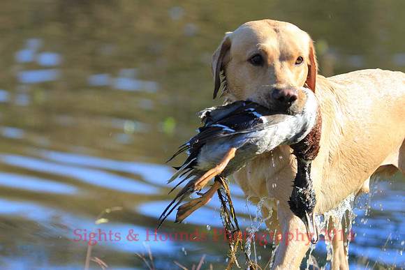 Hunter Caito