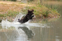SATURDAY NOVICE WATER