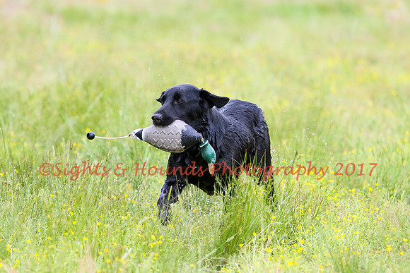 SUPER RETRIEVER SERIES MAY 2018