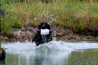 SUPER RETRIEVER SERIES MAY 2018