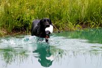 SUPER RETRIEVER SERIES MAY 2018