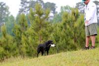 SUPER RETRIEVER SERIES MAY 2018