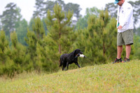 SUPER RETRIEVER SERIES MAY 2018