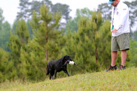 SUPER RETRIEVER SERIES MAY 2018