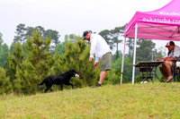 SUPER RETRIEVER SERIES MAY 2018