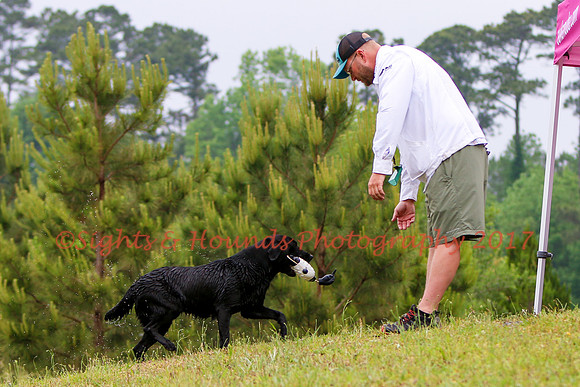 SUPER RETRIEVER SERIES MAY 2018