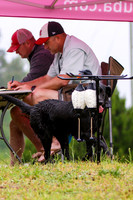 SUPER RETRIEVER SERIES MAY 2018