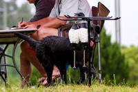 SUPER RETRIEVER SERIES MAY 2018