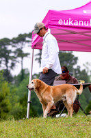 SUPER RETRIEVER SERIES MAY 2018
