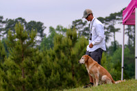 SUPER RETRIEVER SERIES MAY 2018