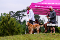 SUPER RETRIEVER SERIES MAY 2018