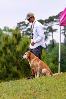 SUPER RETRIEVER SERIES MAY 2018