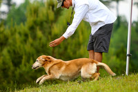 SUPER RETRIEVER SERIES MAY 2018