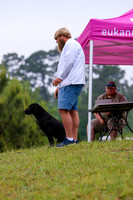 SUPER RETRIEVER SERIES MAY 2018