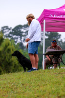 SUPER RETRIEVER SERIES MAY 2018