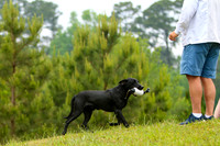 SUPER RETRIEVER SERIES MAY 2018