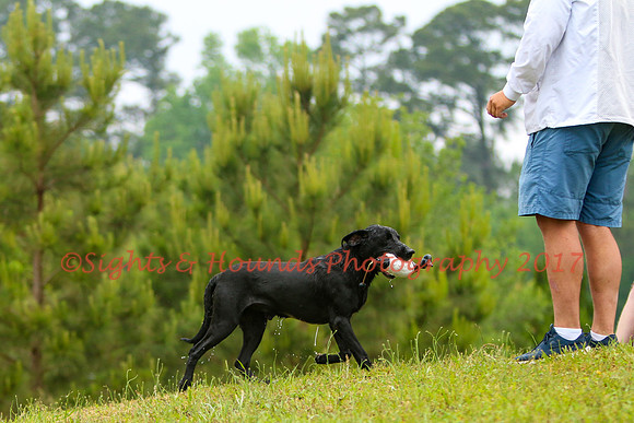 SUPER RETRIEVER SERIES MAY 2018