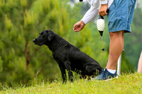 SUPER RETRIEVER SERIES MAY 2018