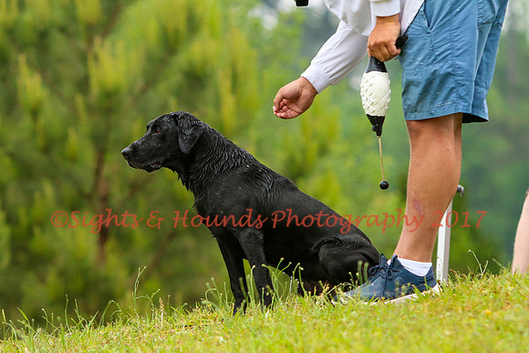 SUPER RETRIEVER SERIES MAY 2018