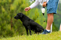 SUPER RETRIEVER SERIES MAY 2018