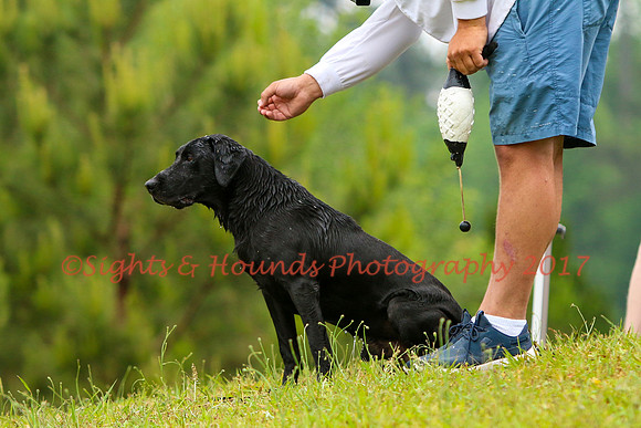 SUPER RETRIEVER SERIES MAY 2018