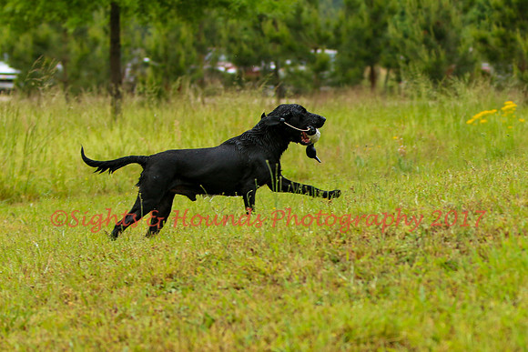 SUPER RETRIEVER SERIES MAY 2018