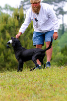 SUPER RETRIEVER SERIES MAY 2018