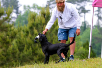 SUPER RETRIEVER SERIES MAY 2018
