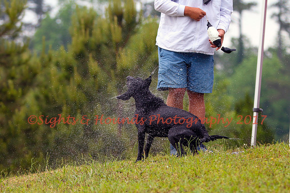 SUPER RETRIEVER SERIES MAY 2018