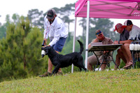 SUPER RETRIEVER SERIES MAY 2018