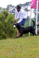 SUPER RETRIEVER SERIES MAY 2018